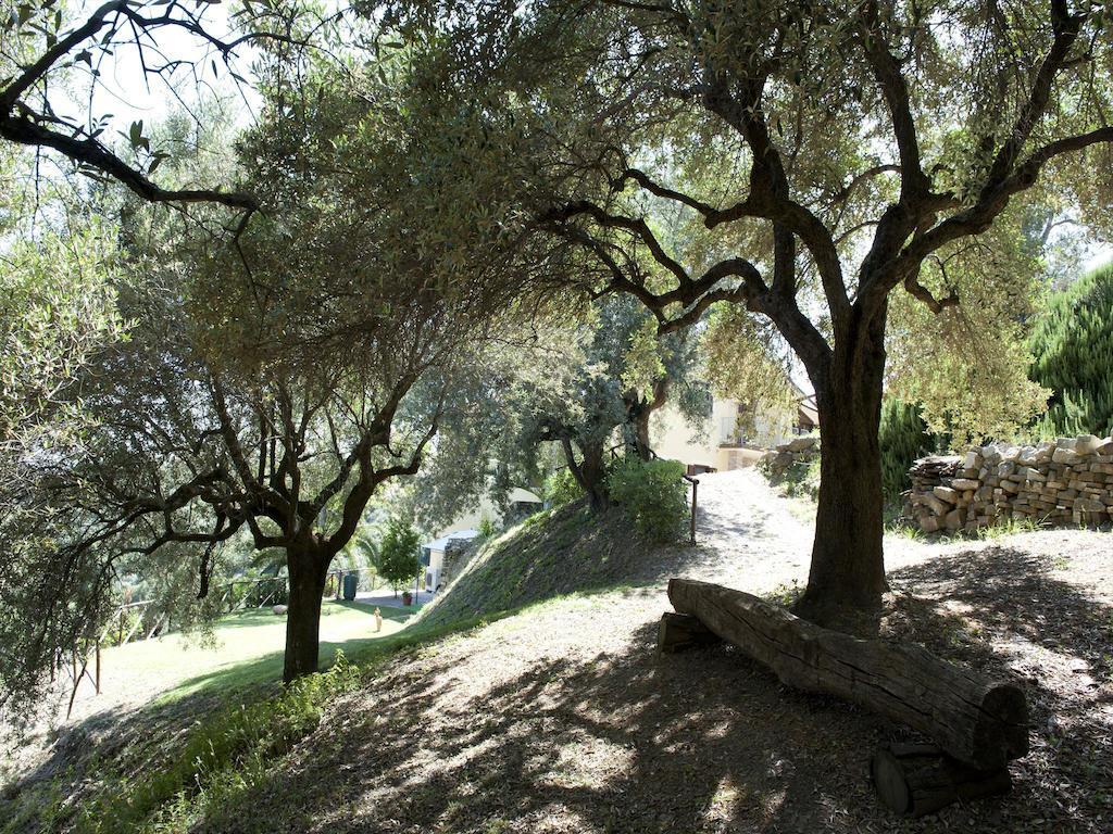 Villa Bernadette San Mauro Cilento Exterior photo